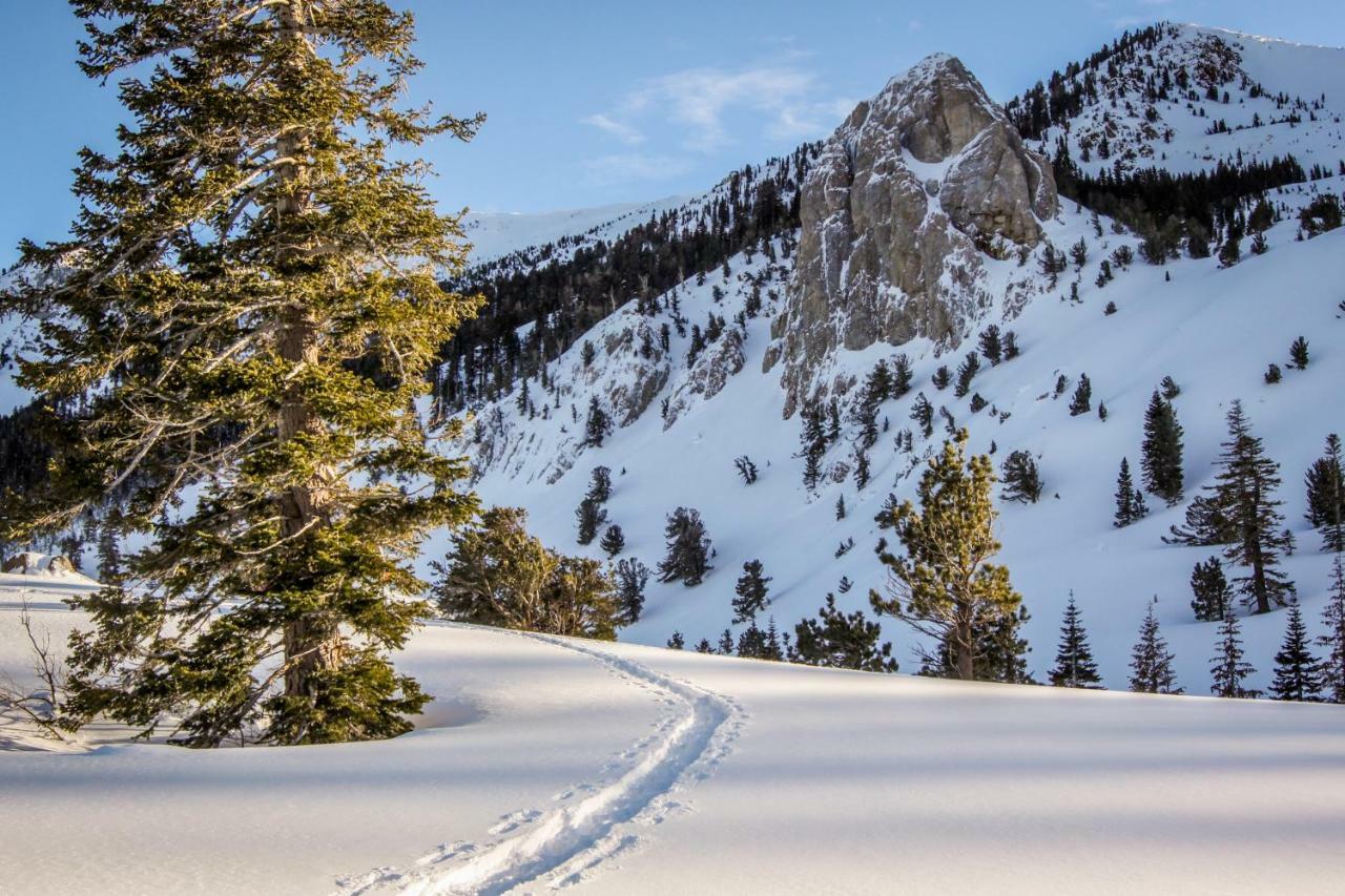 The Summit 72 Lejlighed Mammoth Lakes Eksteriør billede